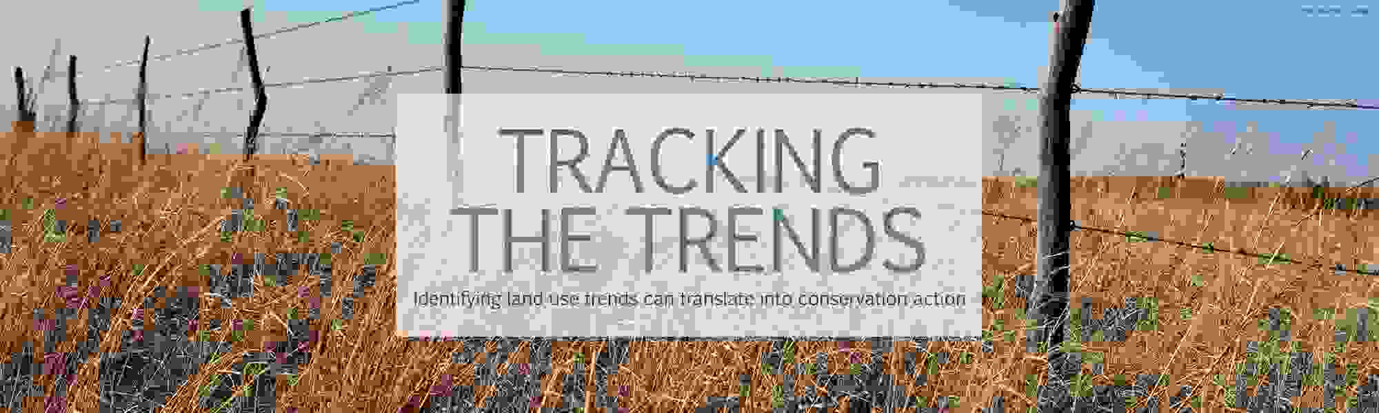 Tracking the trends