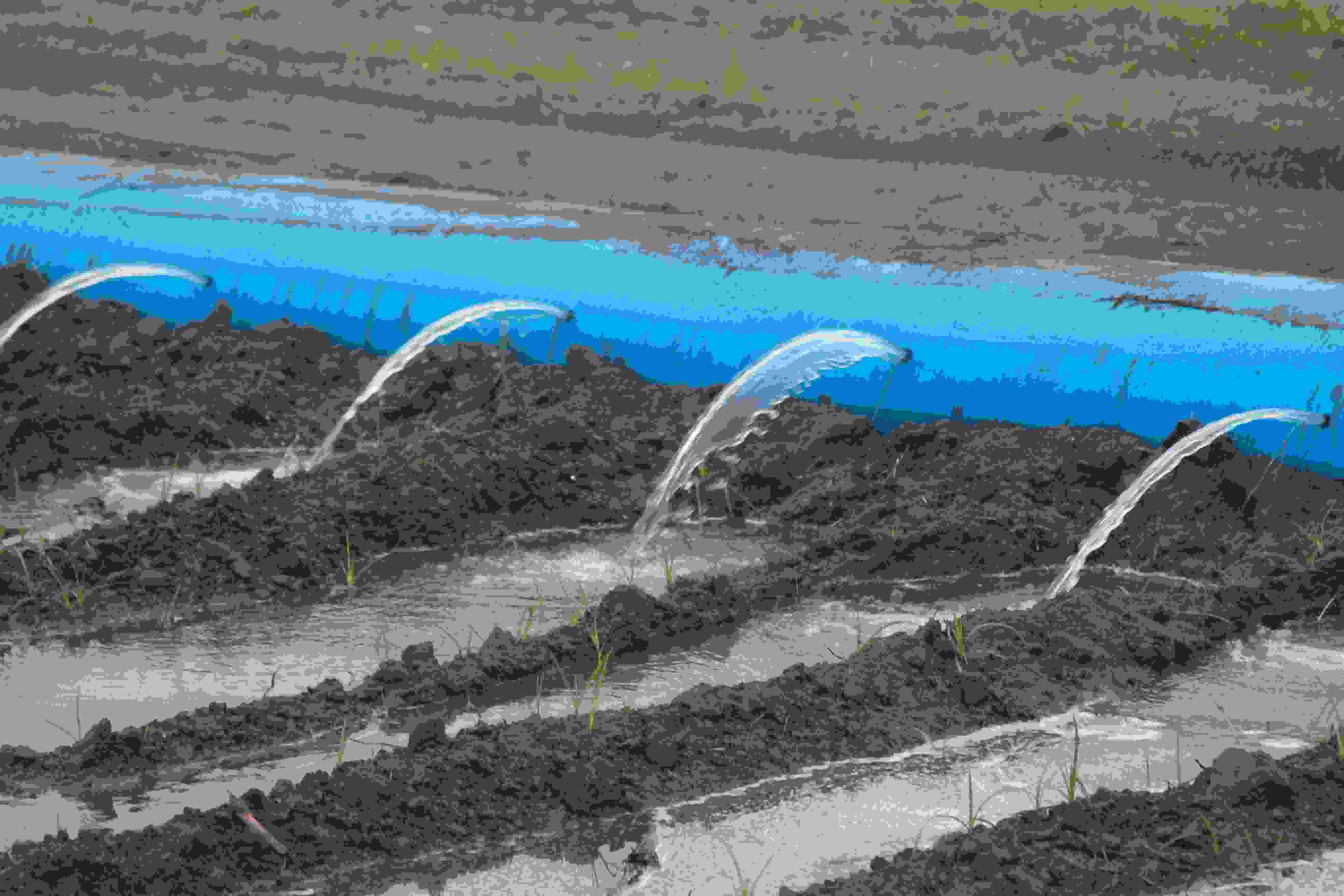 Irrigation Management and Technology Workshop - Edinburg