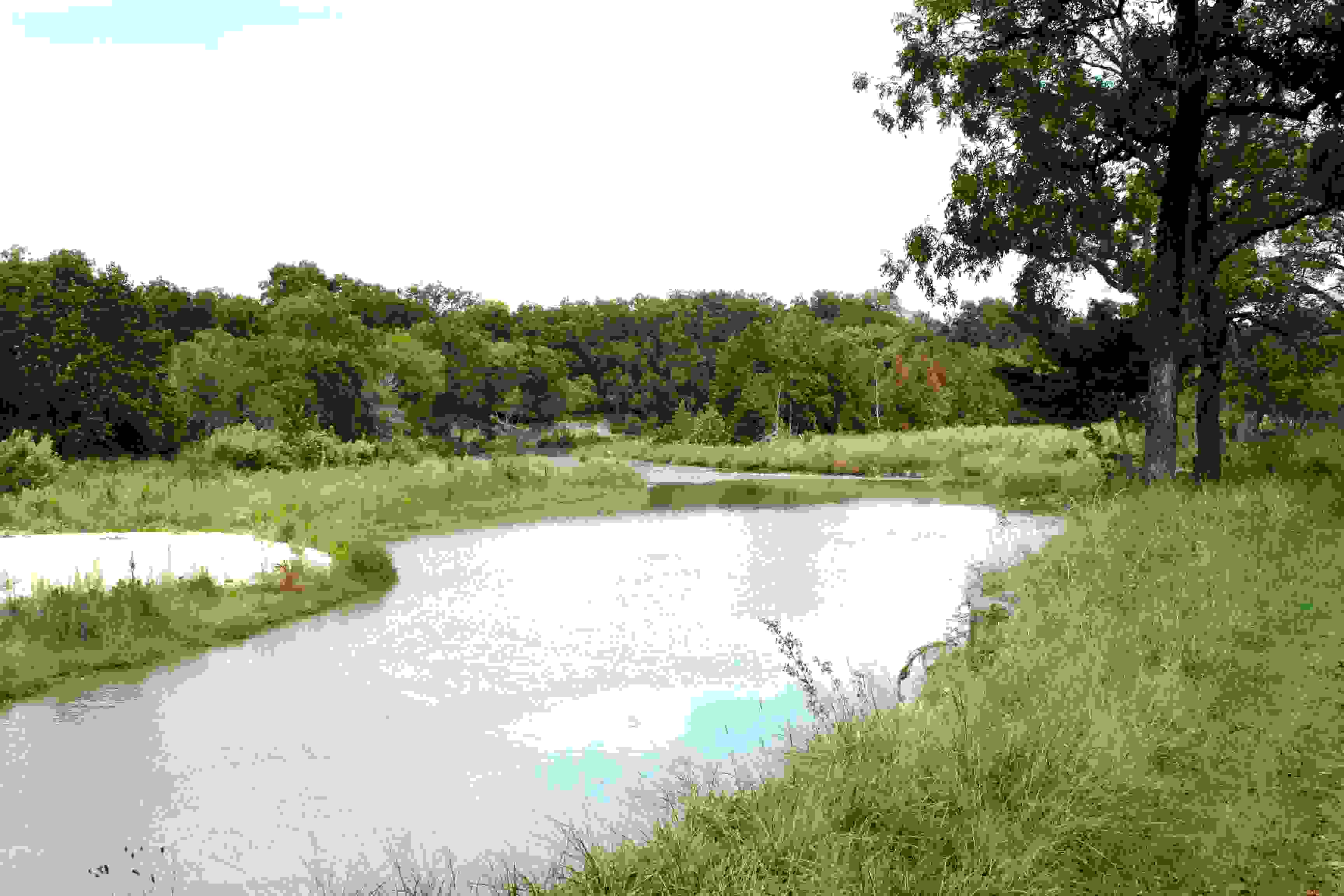 Texas Riparian & Stream Ecosystem Training - Upper Llano River Watershed