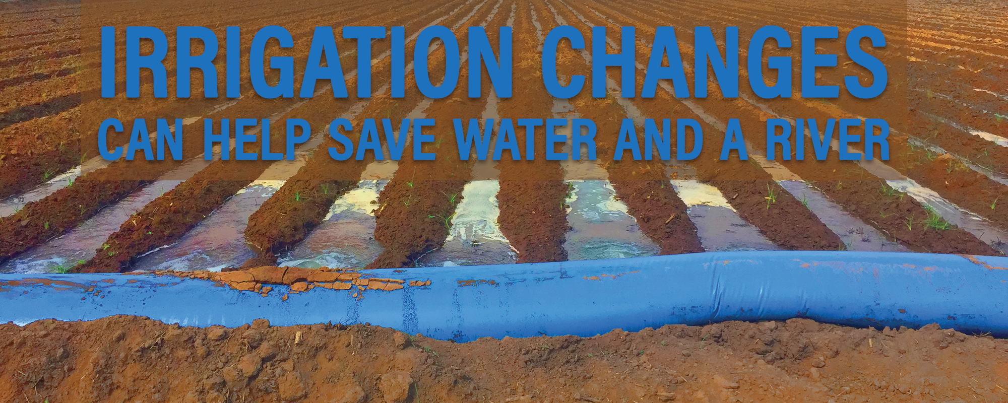 Irrigation Changes Can Help Save Water and a River