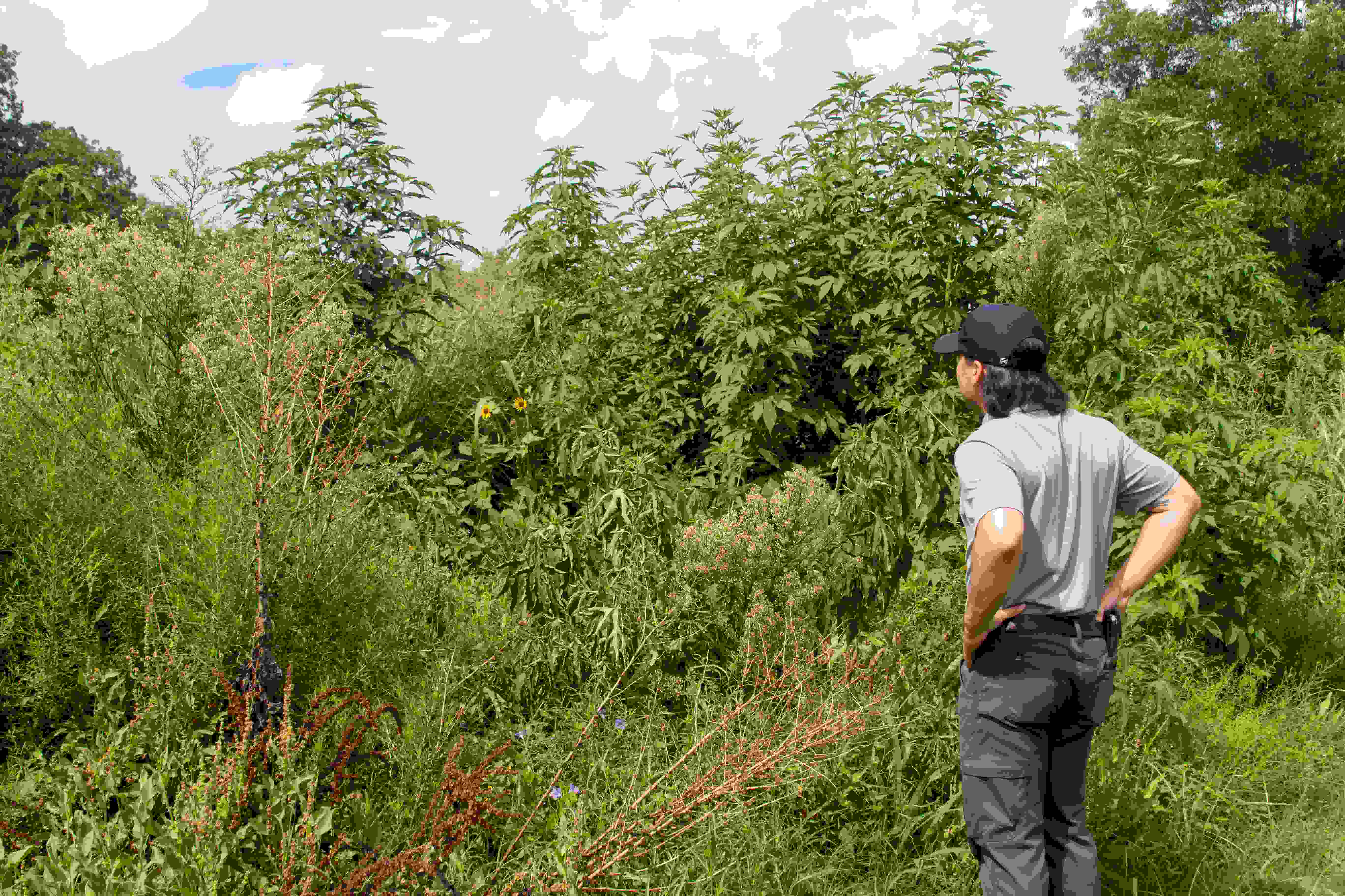 Alexander Neal looking at the Grow Zone. Photo courtesy of Cameron Castilaw.