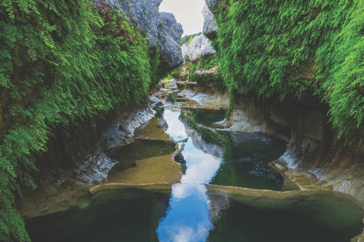 Texas Water Journal Volume 15 cover by TWJ