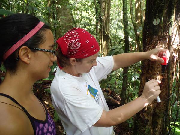Dr. Georgianne Moore and  a former graduate student take measurements in the tropical forest near Texas A&M’s Soltis Center for Research and Education in Costa Rica. Photo courtesy of the Texas A&M University Costa Rica REU program.