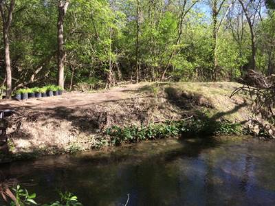 The restoration site prior to the planting restoration