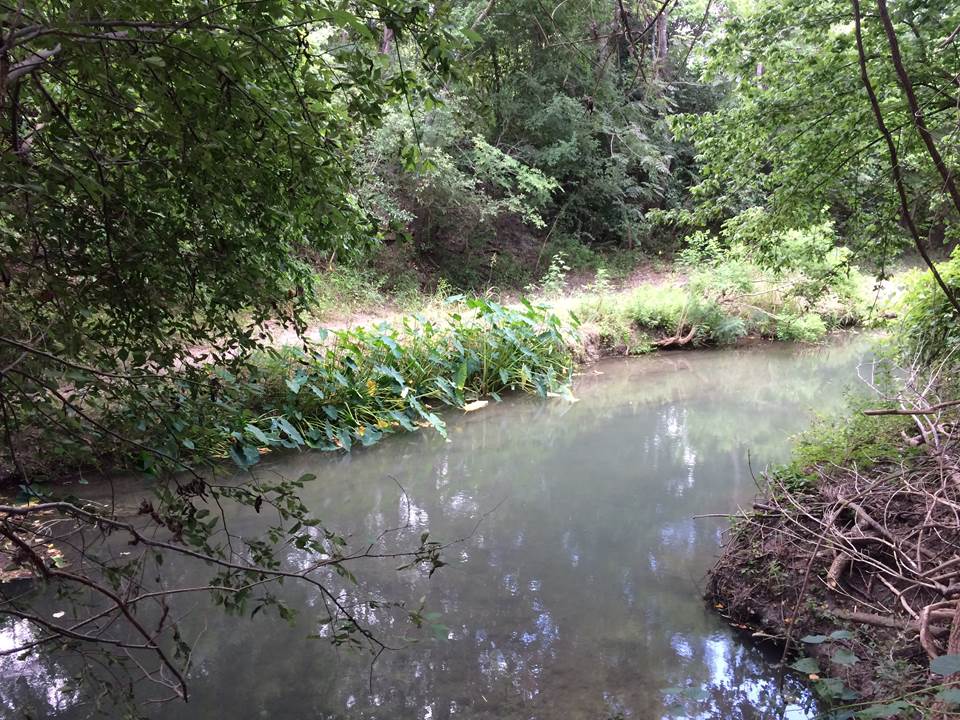 June 2018 showing a portion of the control site