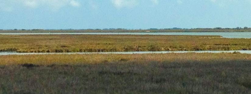 Copano Bay Stakeholder Meeting