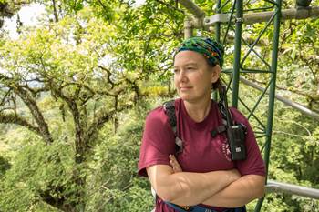 Dr. Georgianne Moore at a forest sensor tower in Costa Rica