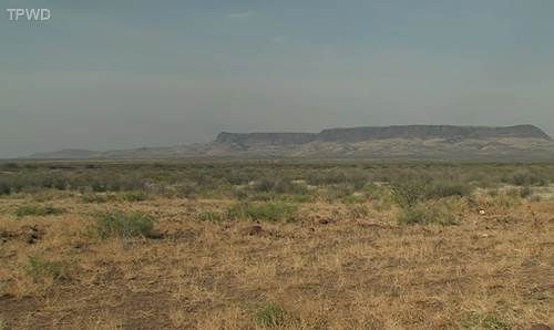 The 25,000-acre Tanksley Land Company is located in Brewster County.