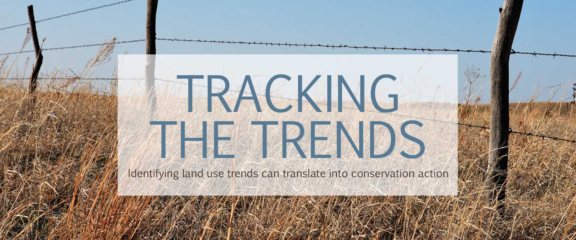 Tracking the trends