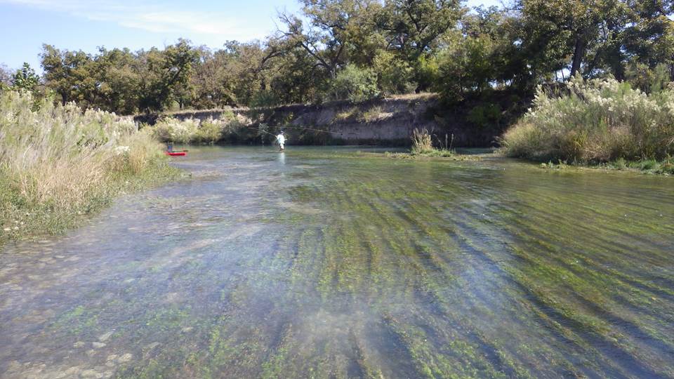 Fishing in the South Llano River.