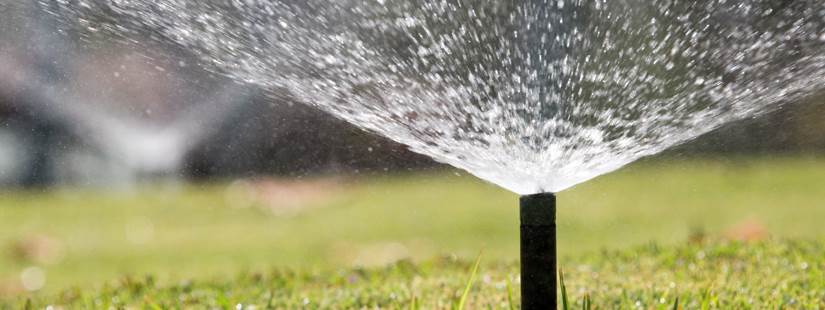 Rainwater harvesting, turf management hybrid training set for August 31