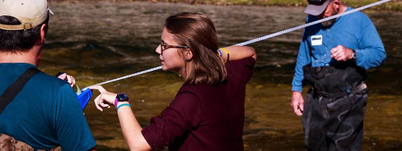 Urban Stream Processes, Restoration Training