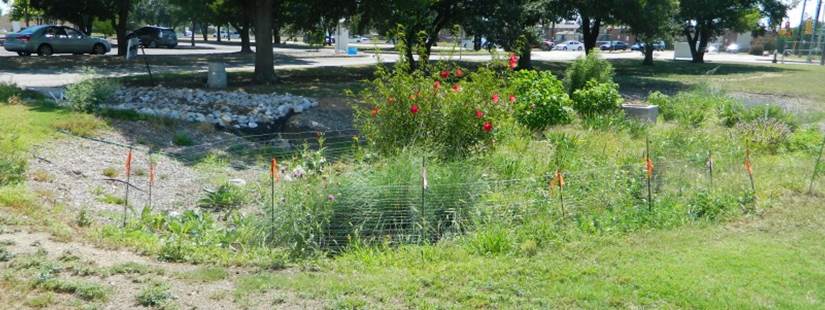 Urban BMPs for Watershed Planning Training