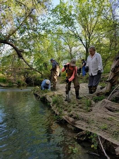 Volunteers Planting