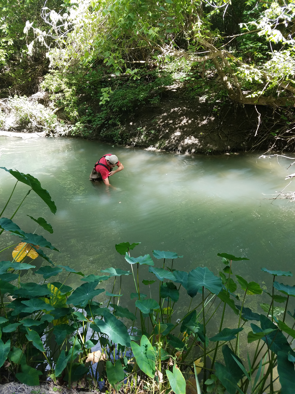Collecting water grab samples.