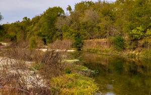 Texas Riparian & Stream Ecosystem Online Training - San Antonio Area Watersheds