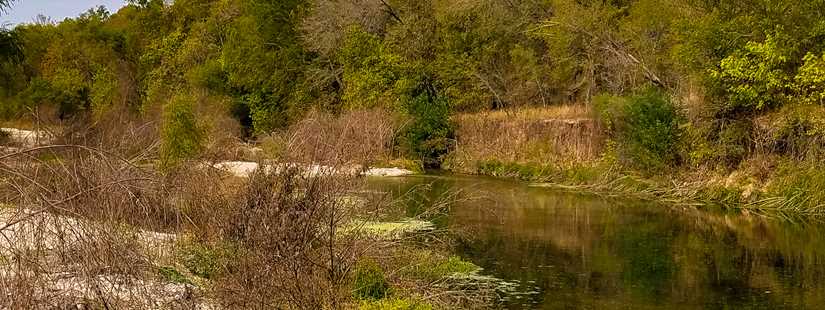 Texas Riparian & Stream Ecosystem Online Training - San Antonio Area Watersheds