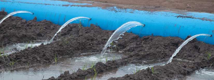 Irrigation Management and Technology Workshop - Edinburg