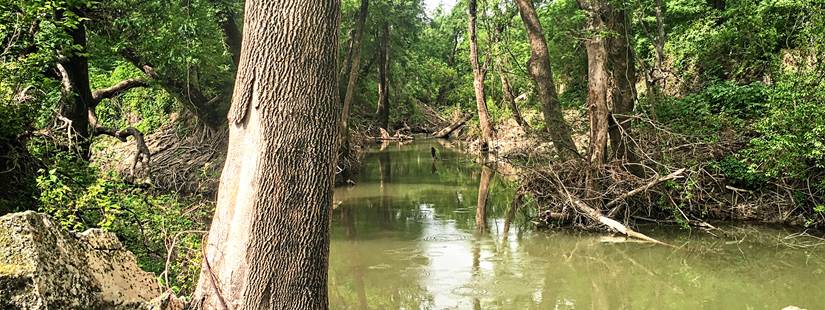 Texas Riparian & Stream Ecosystem Training – Big Elm Creek Watershed