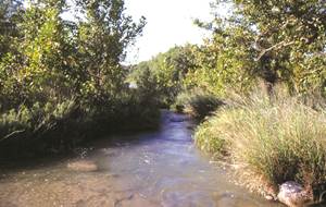 Texas Riparian & Stream Ecosystem Training - La Marque