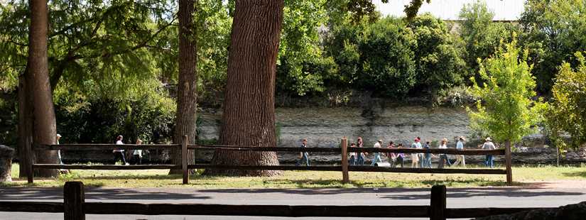 Riparian & Stream Ecosystems Training - Comal River Watershed