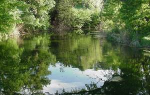Texas Riparian & Stream Ecosystem Training - Geronimo & Alligator Creeks Watershed