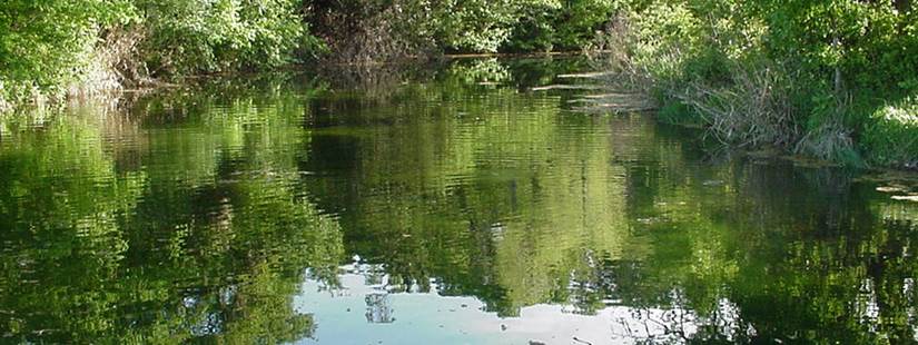 Texas Riparian & Stream Ecosystem Training - Geronimo & Alligator Creeks Watershed