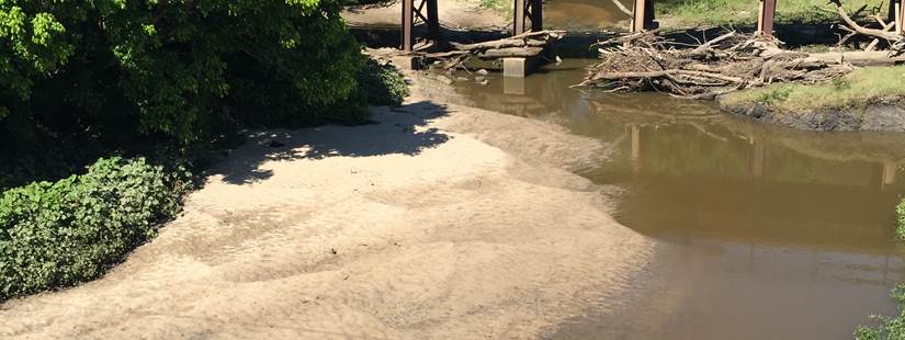 Riparian & Stream Ecosystem Training - Mill Creek Watershed