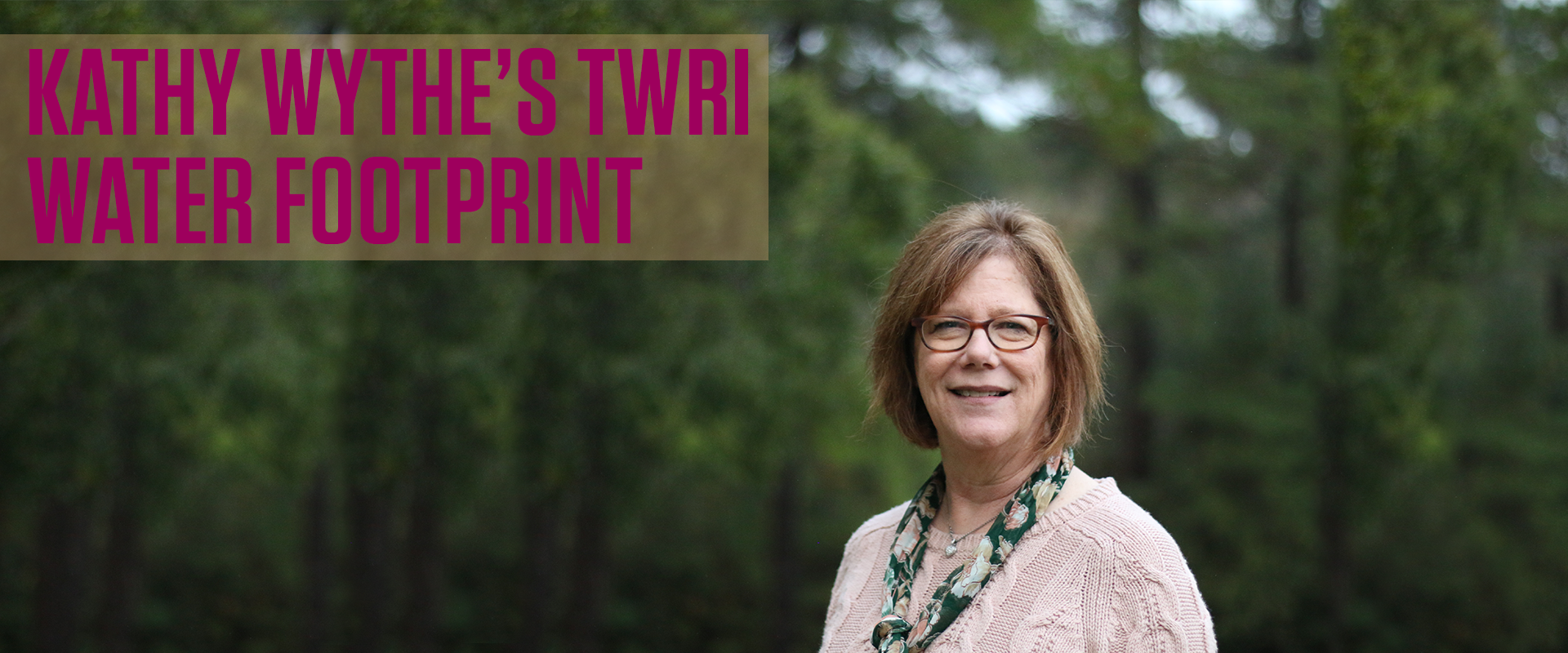 Kathy Wythe's TWRI Water Footprint