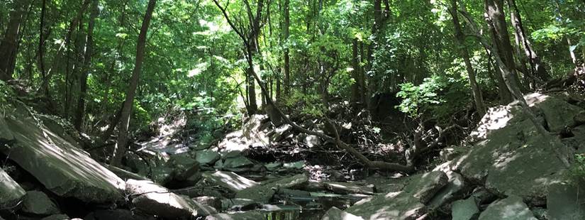 Stakeholder Meeting for Middle Neches Water Quality Planning