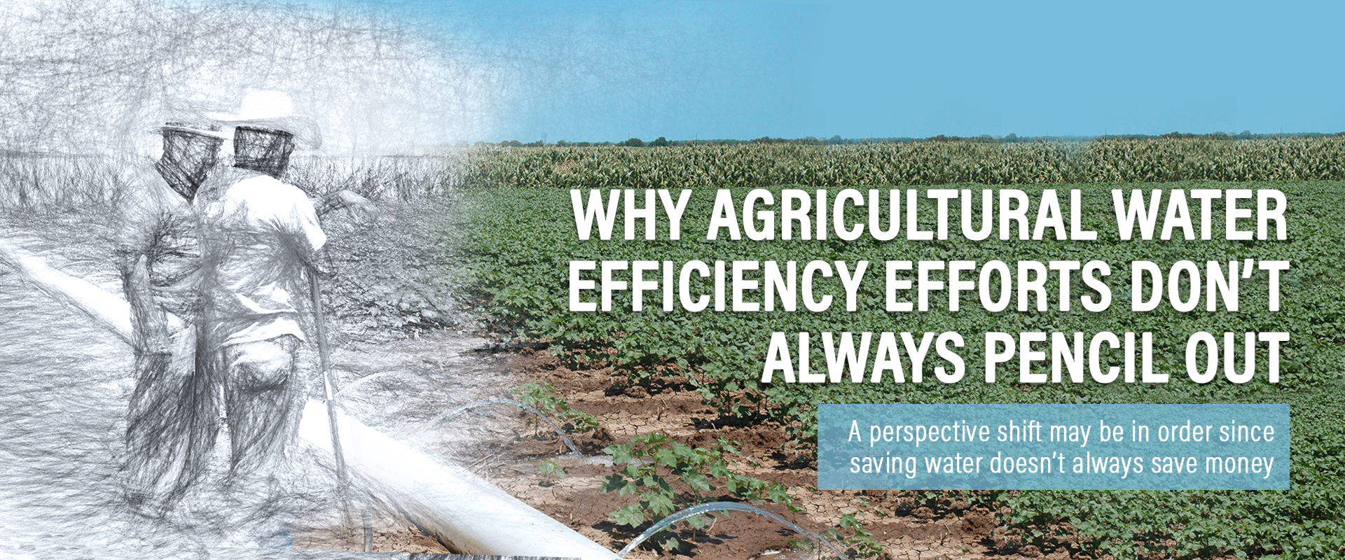 Why Agricultural Water Efficiency Efforts Don’t Always Pencil Out