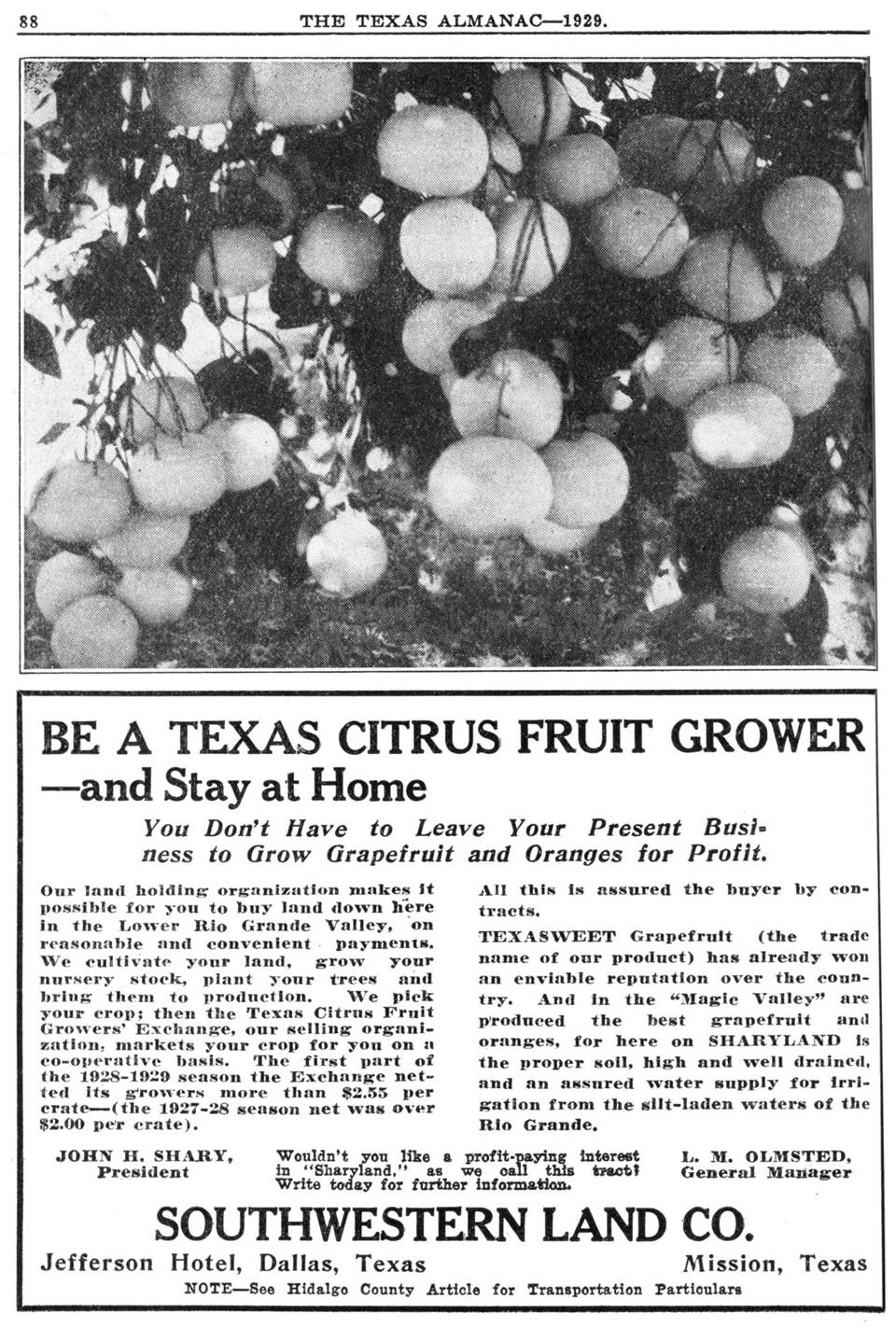 A citrus ad from the 1929 Texas Almanac. 