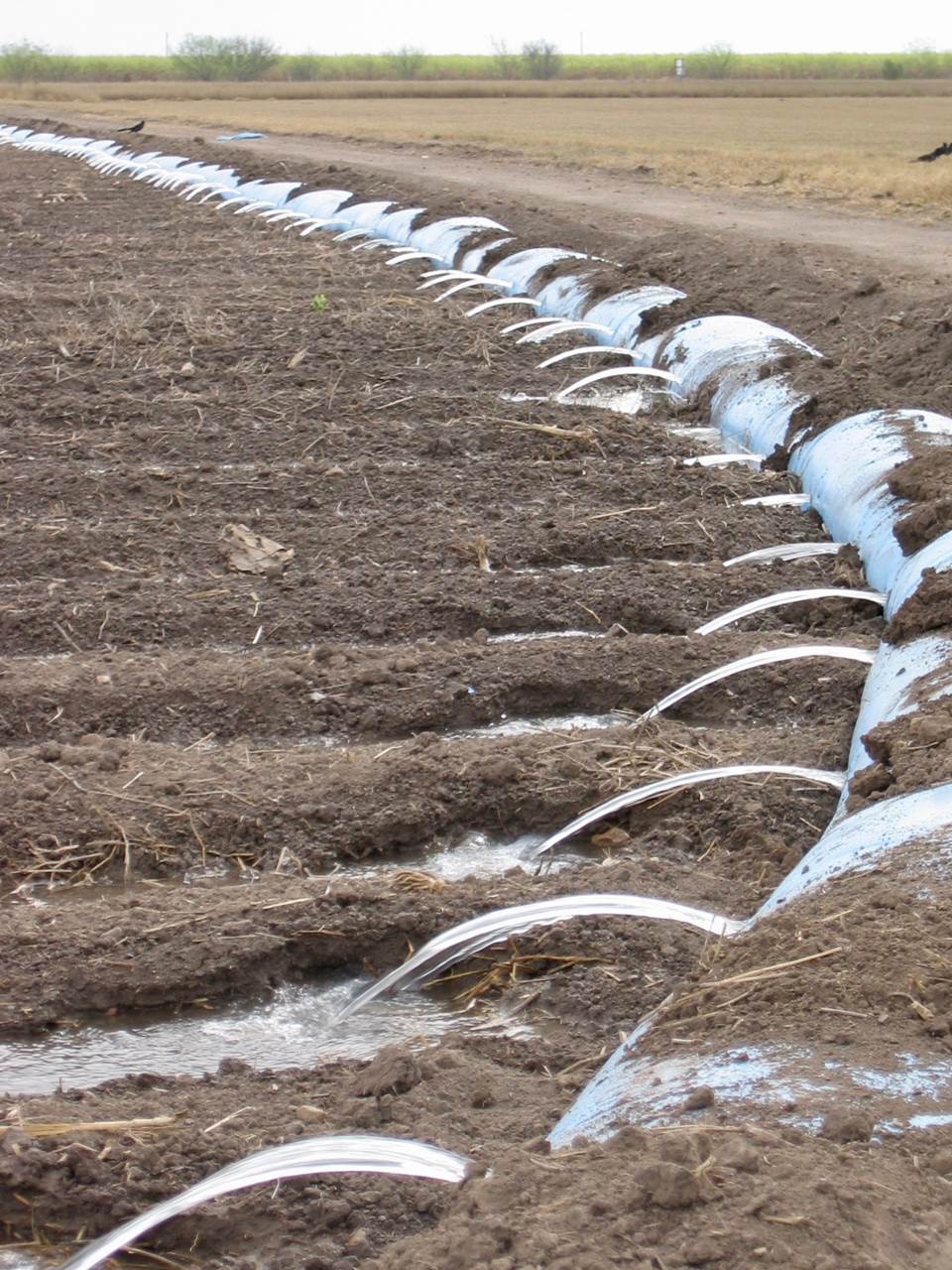 Polypipe irrigation.
