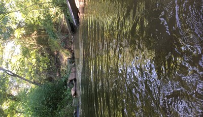 Thompsons Creek downstream of Silverhill Rd Credit: 