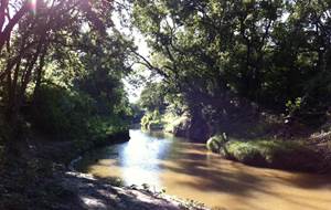 Riparian & Stream Ecosystem Training - Leon Creek Watershed