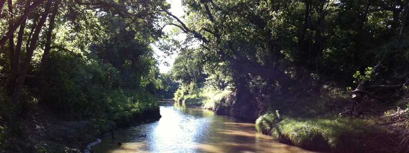 Riparian & Stream Ecosystem Training - Leon Creek Watershed