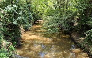 Riparian & Stream Ecosystem Training - Angelina River Watershed