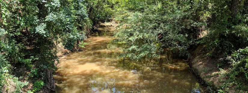 Riparian & Stream Ecosystem Training - Angelina River Watershed