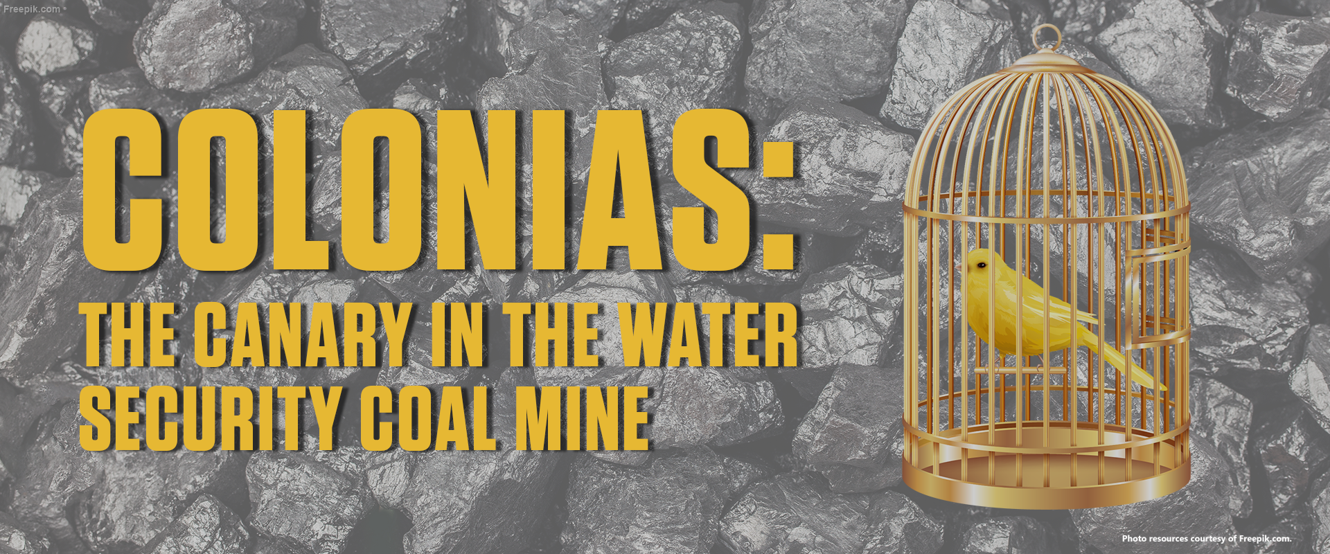 Colonias: The Canary in the Water Security Coal Mine