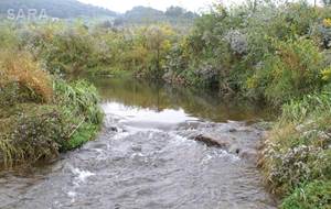 Texas Riparian & Stream Ecosystem Training – Upper San Antonio River Watershed
