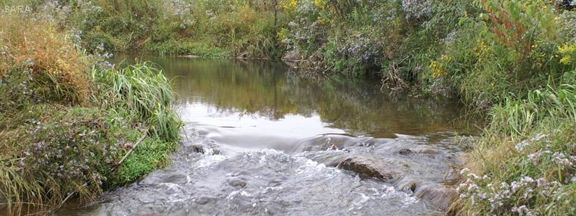Texas Riparian & Stream Ecosystem Training – Upper San Antonio River Watershed