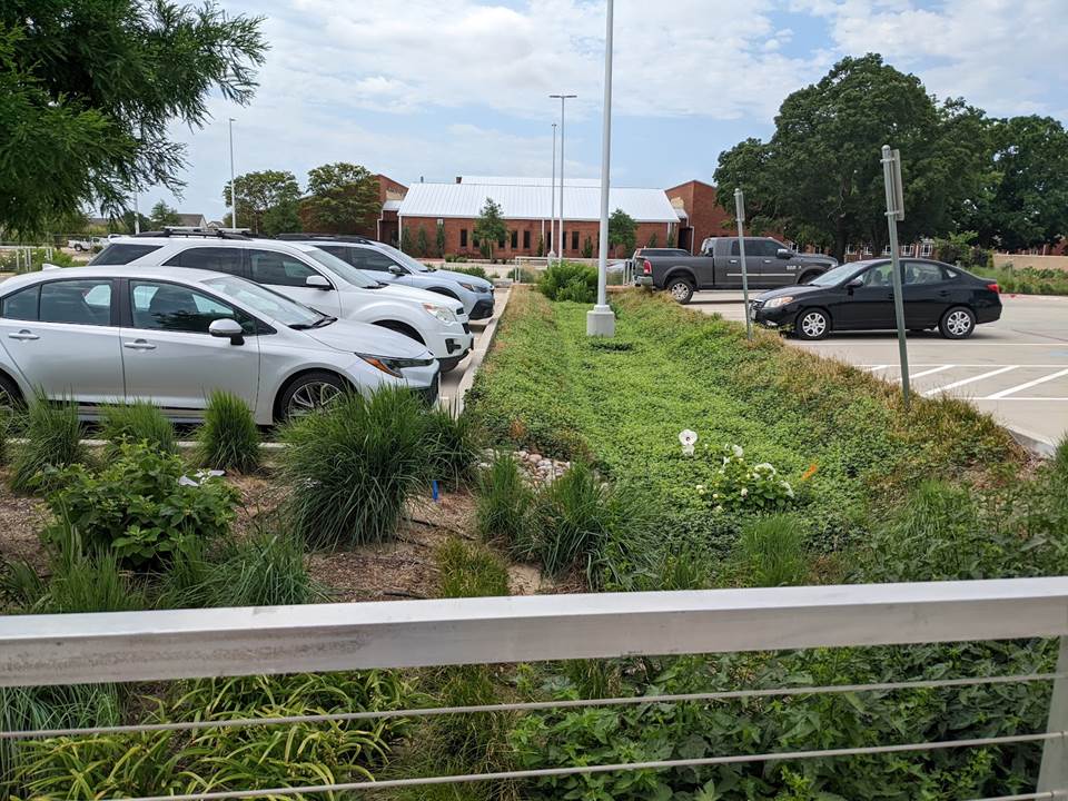 A bioretention area in the parking lot of the Texas A&M AgriLife Research and Extension Center at Dallas. Texas A&M AgriLife photo by Fouad Jaber.