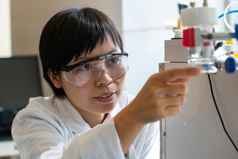 Susie Dai, Ph.D. in her lab at Texas A&M University. Photo by Michael Miller, Texas A&M AgriLife Communications.