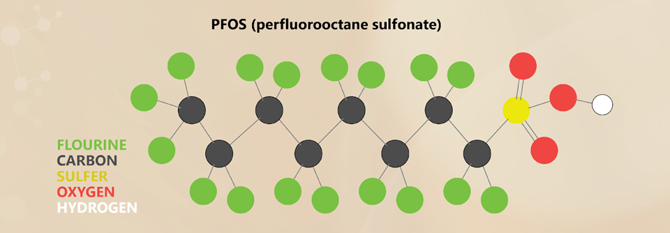 The bond between carbon and fluorine molecules, one of the strongest chemical bonds possible, makes removal and breakdown of PFOS and other PFAS chemicals very difficult. Illustration by Sarah Richardson, TWRI.