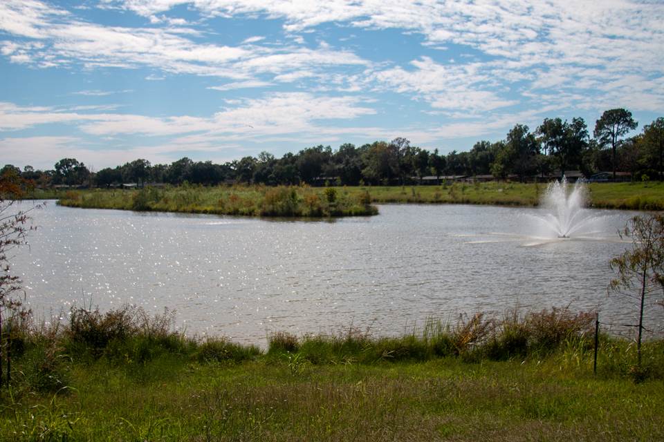 Exploration Green: a 200-acre former golf course that has been turned into a large-scale stormwater detention area and nature reserve, located in the Clear Lake area in Houston.