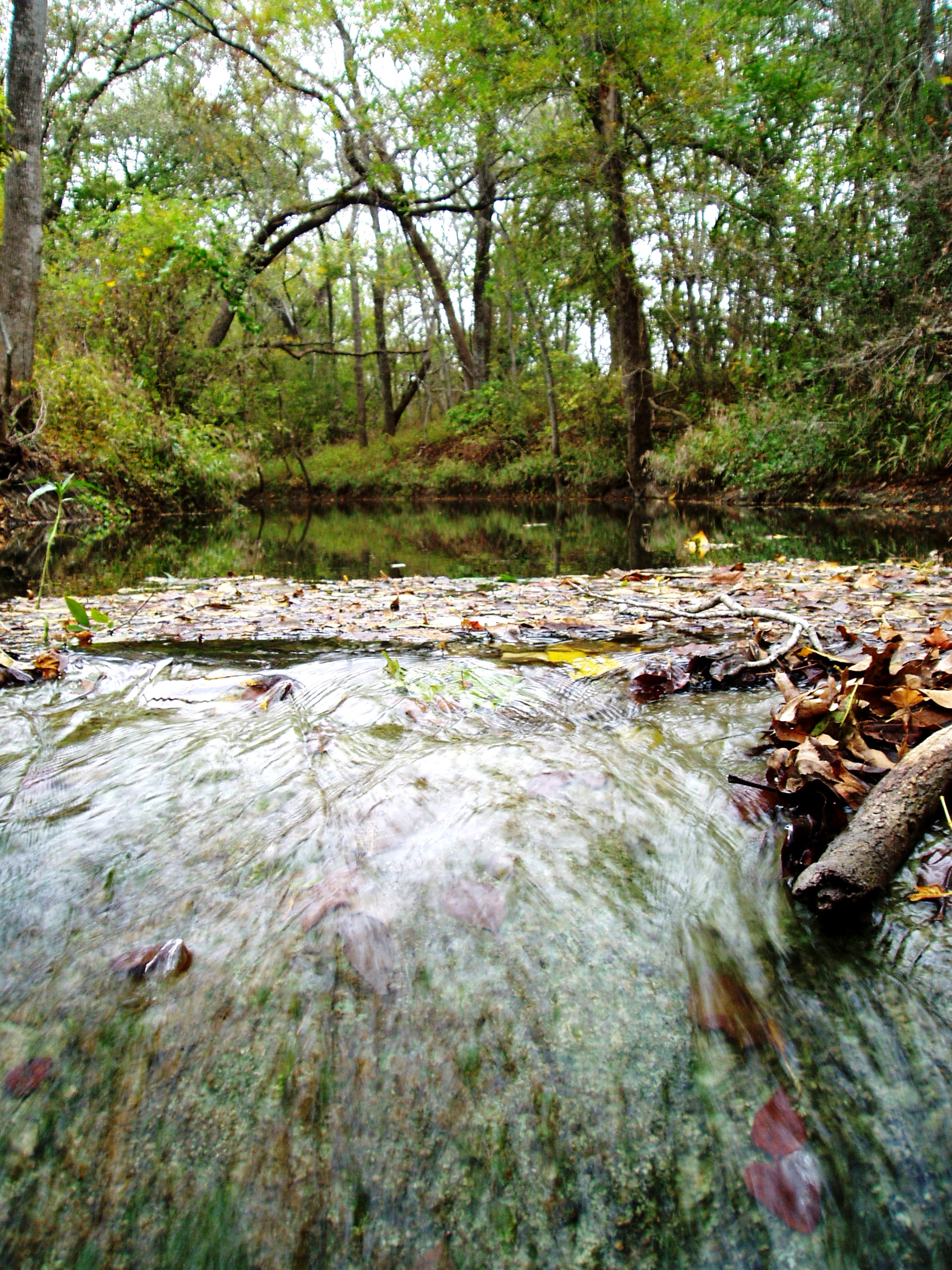 Riparian and stream ecosystem program workshop for Paluxy River watershed set for Dec. 6 TWRI