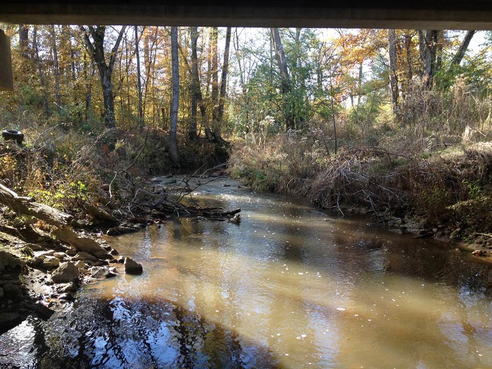 Prairie Creek upstream of FM 557, in the Lake O' The Pines Watershed, in 2014. (Photo by TWRI.)