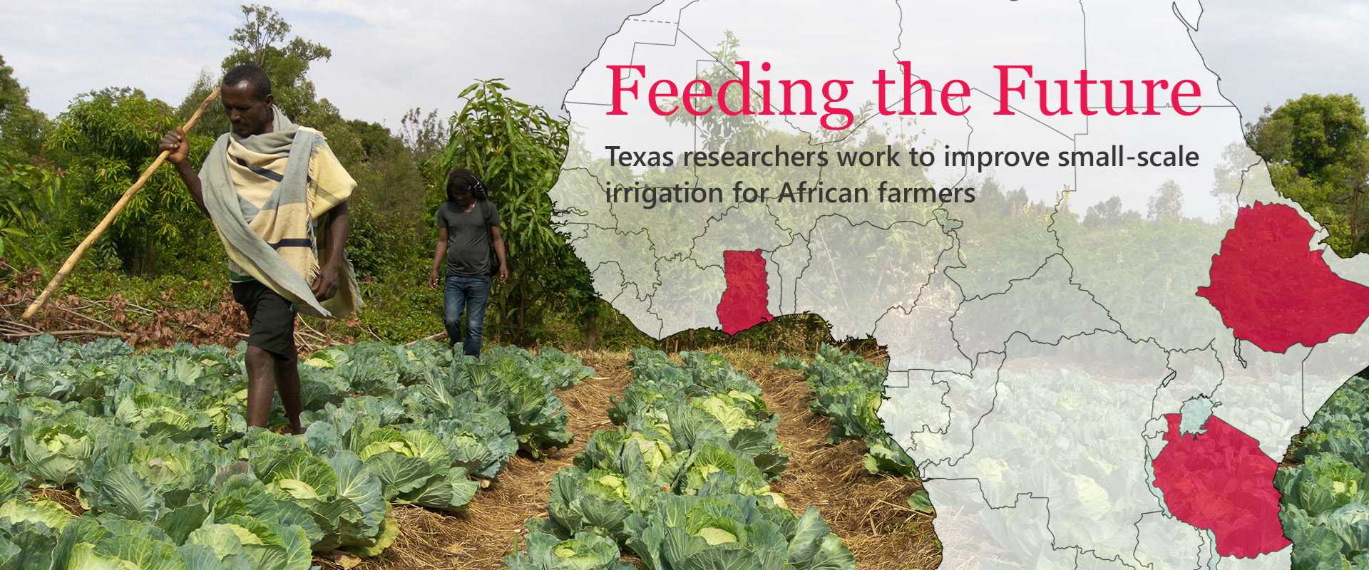 Feeding the Future