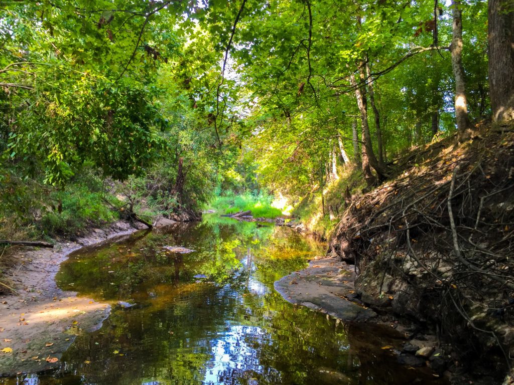 Hurricane Creek at SH 324, Neches River
