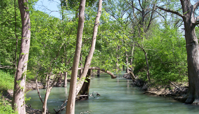 Medina river by TWRI